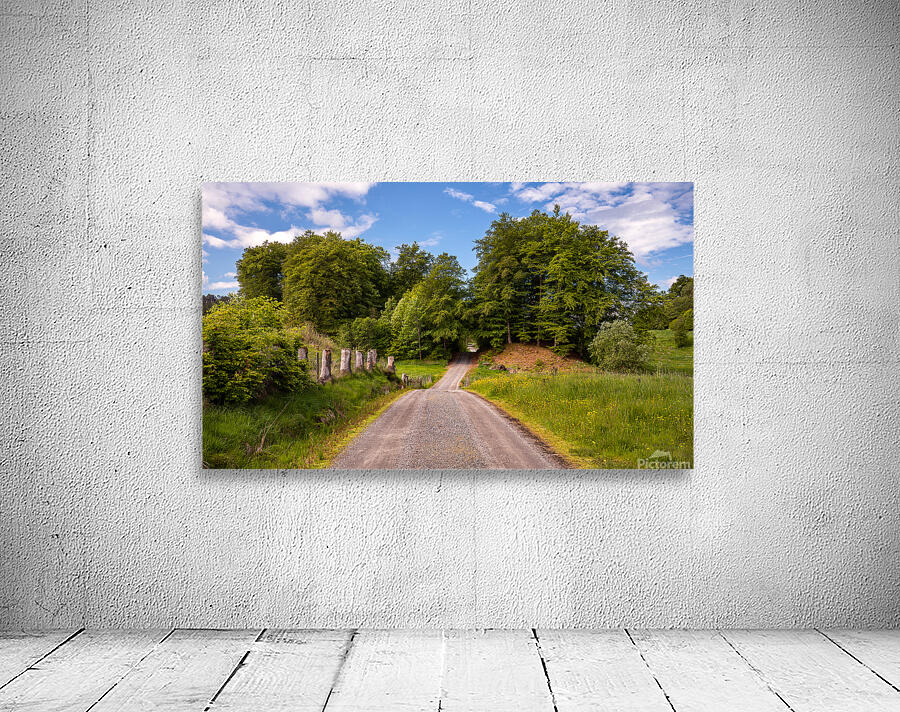 Lush Summer Landscape Wall Preview