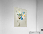 Montage 30 Acrylic Print