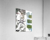 Montage 29 Acrylic Print