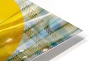 50 Montage  HD Metal print