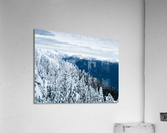 Cypress Mountain 1 Acrylic Print