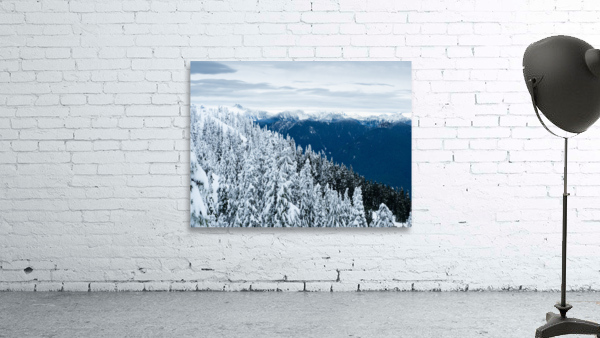 Cypress Mountain 1 Wall Preview