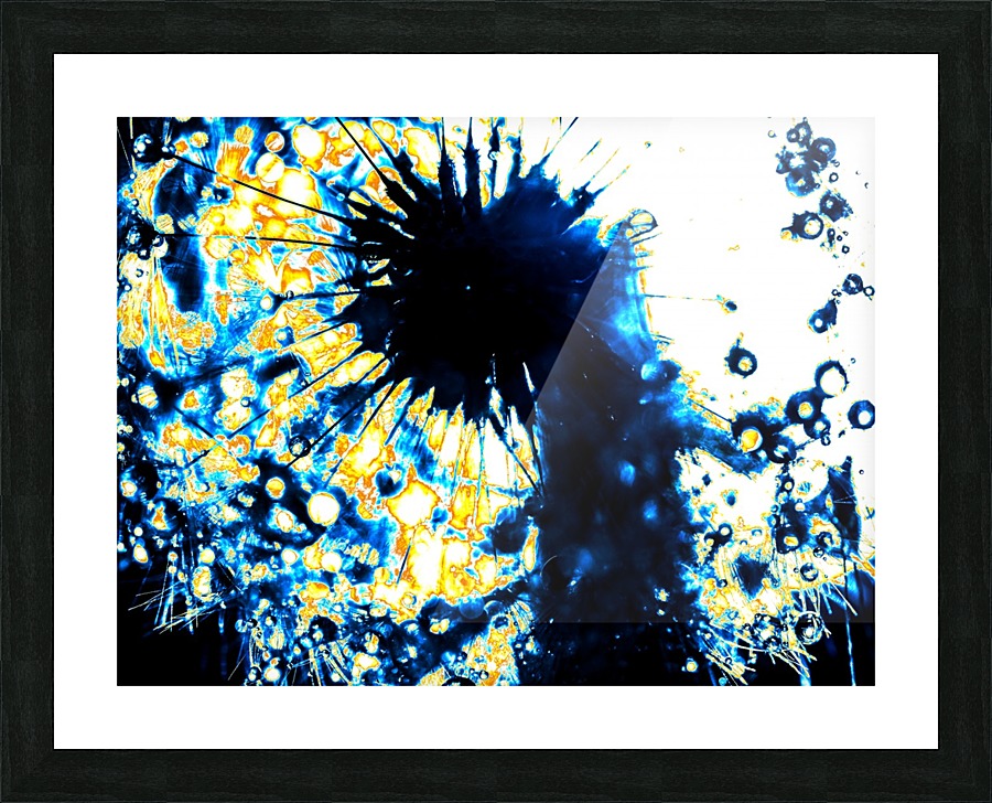 Just A Dandy Lion Picture Frame print
