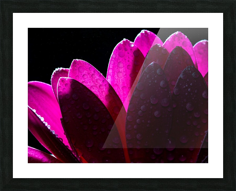 In The Light Picture Frame print