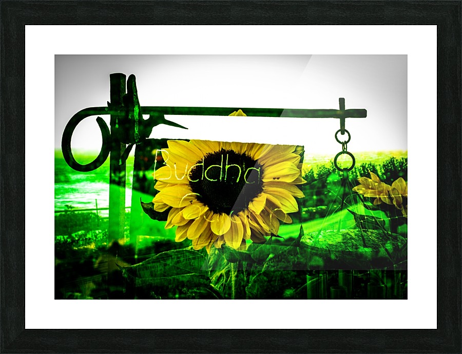 Buddha Garden Picture Frame print