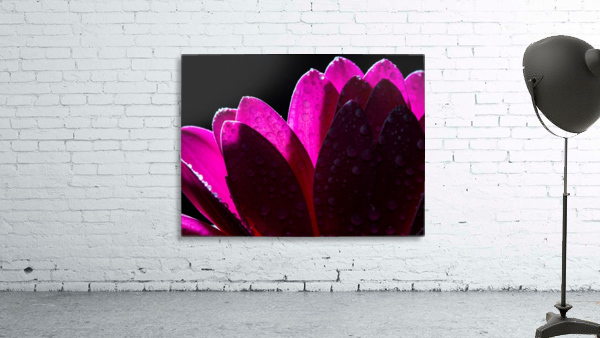 In The Light Wall Preview