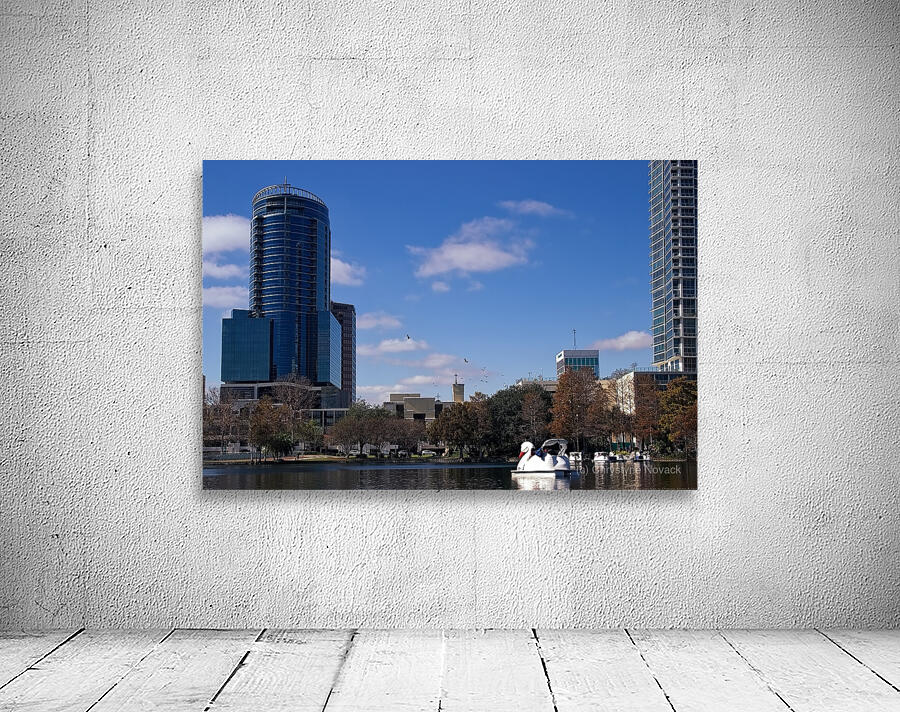 Wings - Lake Eola Wall Preview