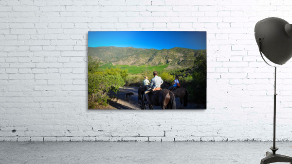 Horseback Exploration Chile Wall Preview