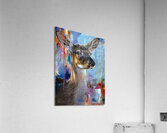 Wide Eyes Acrylic Print