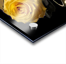 a striking and thought provoking photograph of a Acrylic print