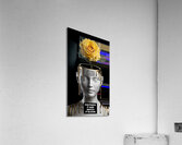 a striking and thought provoking photograph of a Acrylic Print
