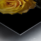 a striking and thought provoking photograph of a Metal print