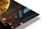 Moonlight reflection HD Metal print
