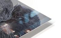 Elephant Series 2 HD Metal print