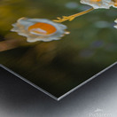 Sunny Side Up Garden Metal print