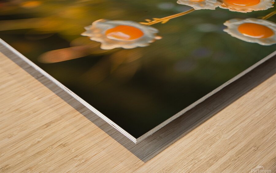 Sunny Side Up Garden Wood print