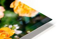 Bloom Impression metal HD
