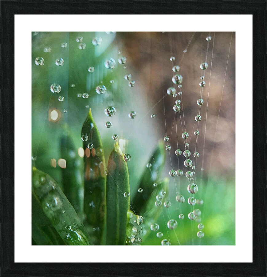 Webs we Weave Picture Frame print
