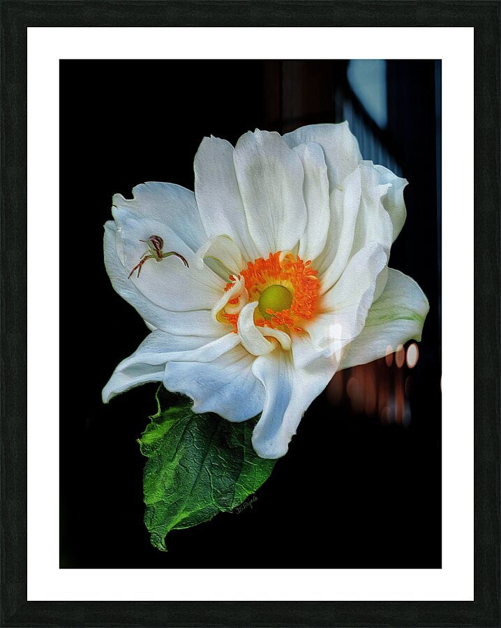 Anemone Picture Frame print