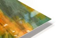 After the Storm  HD Metal print