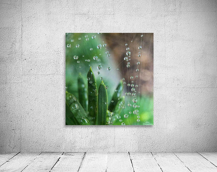 Webs we Weave Wall Preview