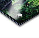 Fawna Flora Acrylic print