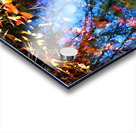 Autumn Favorite Acrylic print