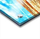 Badlands Buffalo Acrylic print