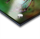 Morning Masterpiece Acrylic print