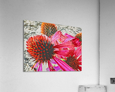 Gone Too Soon Acrylic Print