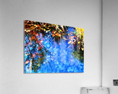 Autumn Favorite Acrylic Print