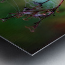 Morning Masterpiece Metal print