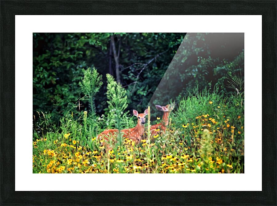 Fawna Flora Picture Frame print