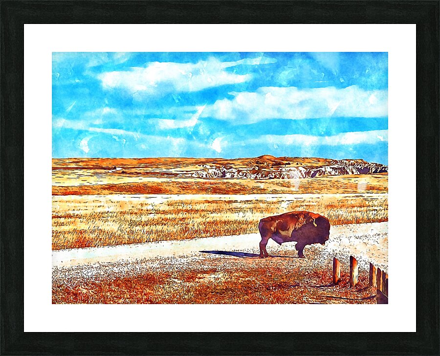 Badlands Buffalo Picture Frame print