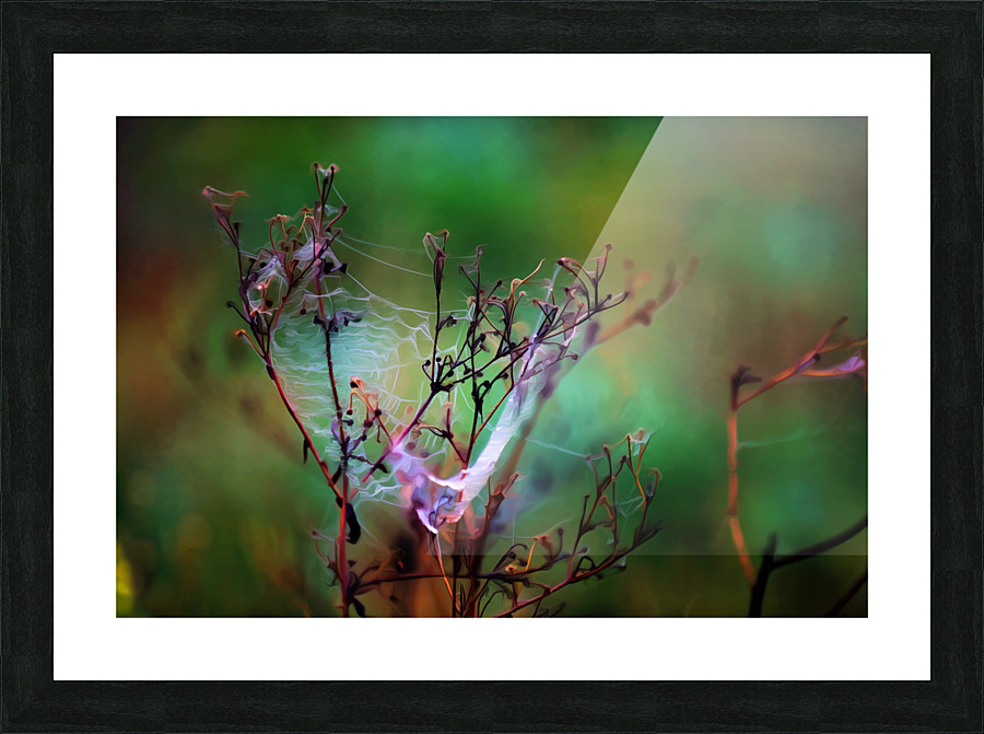 Morning Masterpiece Picture Frame print