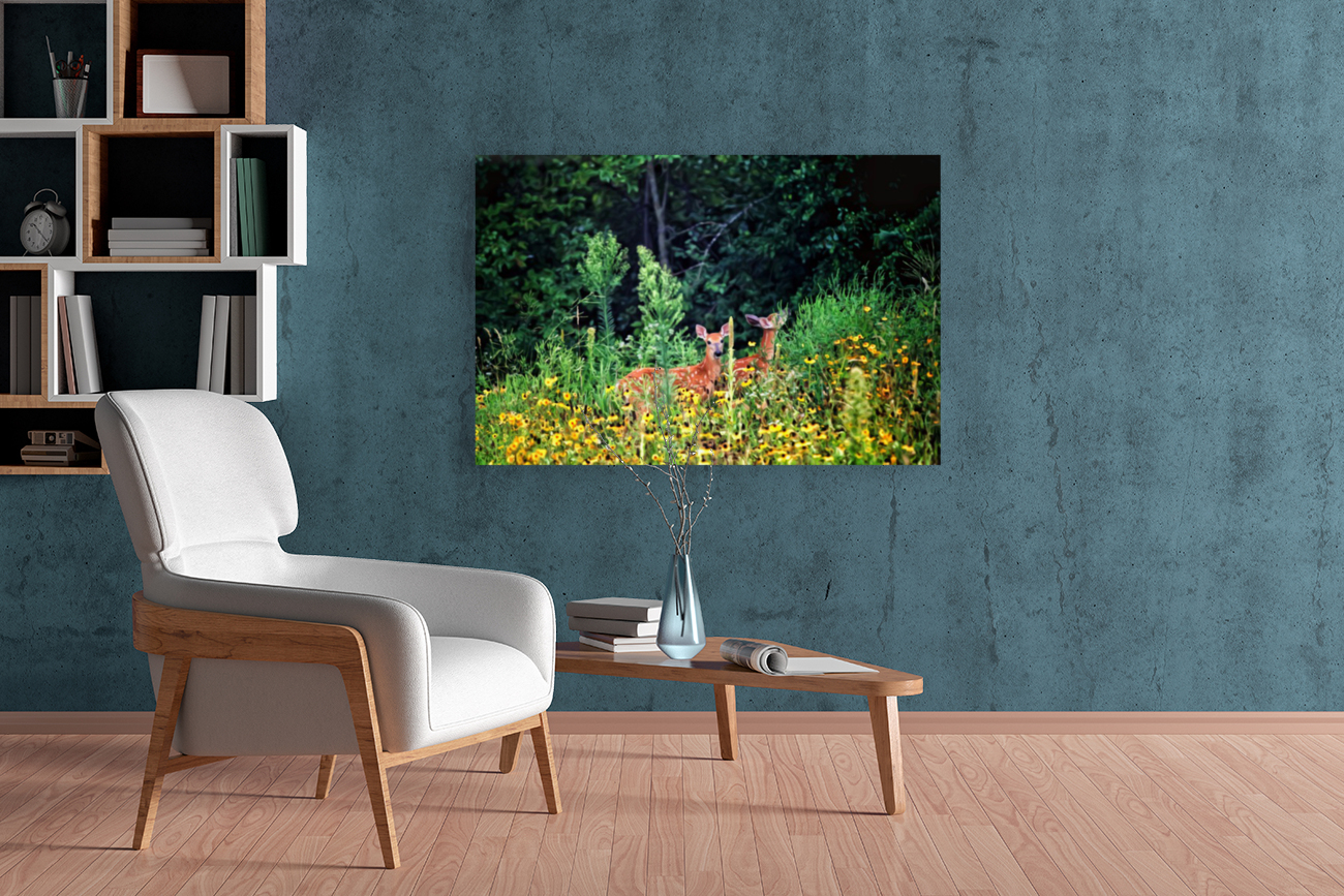 Fawna Flora Reproduction