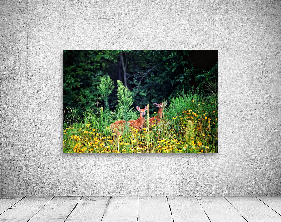 Fawna Flora Wall Preview