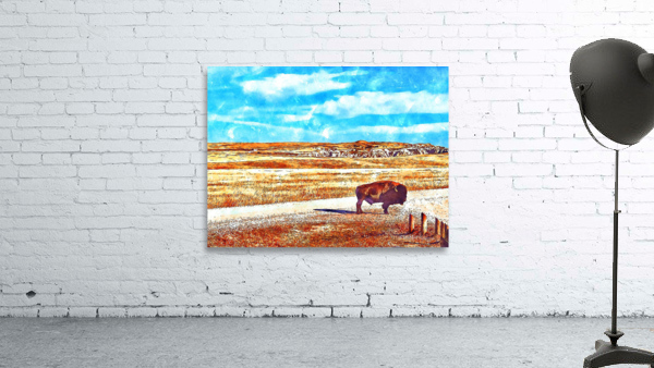 Badlands Buffalo Wall Preview