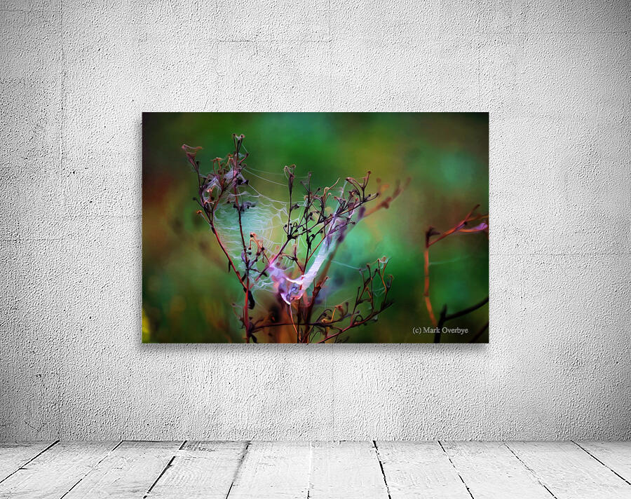 Morning Masterpiece Wall Preview