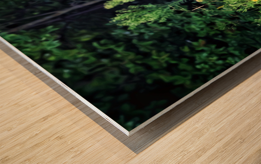 Fawna Flora Wood print