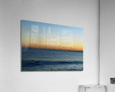 Morning Flight Acrylic Print