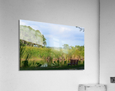 DSC 0731 Acrylic Print
