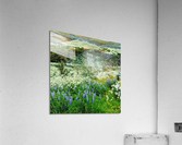 IMG 0138 Acrylic Print