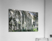 DSC 0661 Acrylic Print