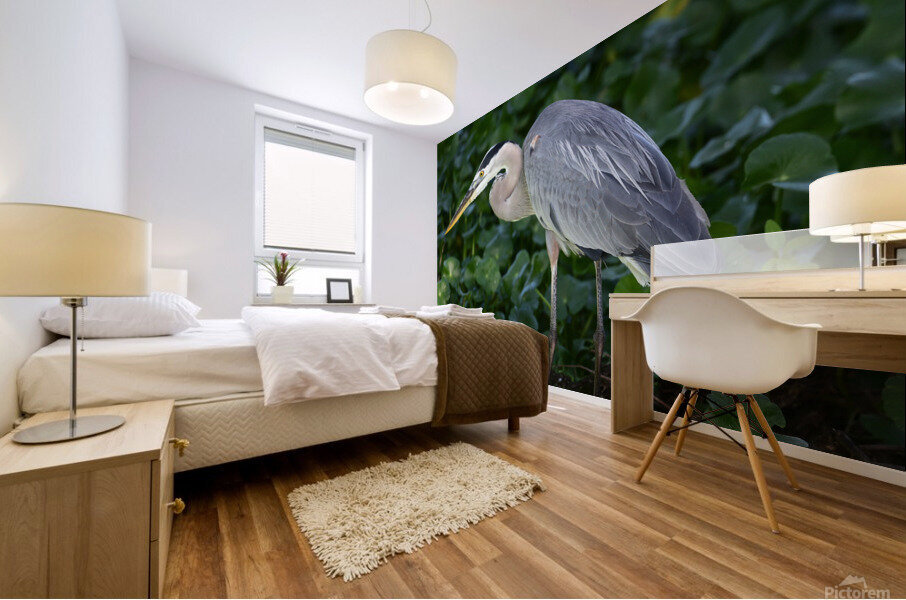 greatblueheronlarge Mural print