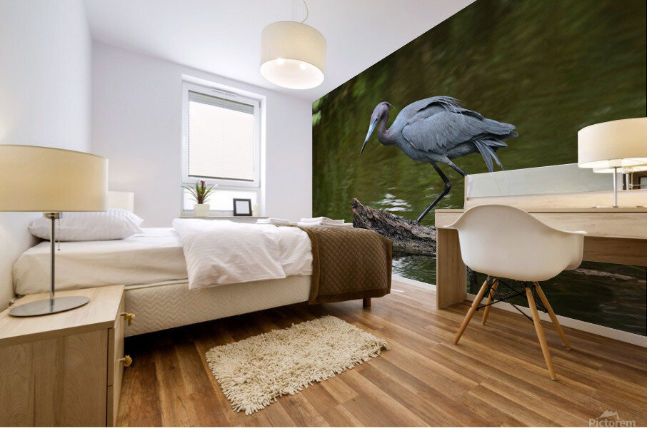 tricoloredsmaller Mural print
