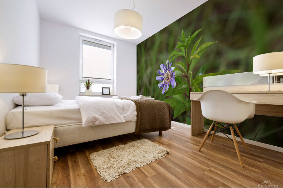 WildFlowerPurple Mural print