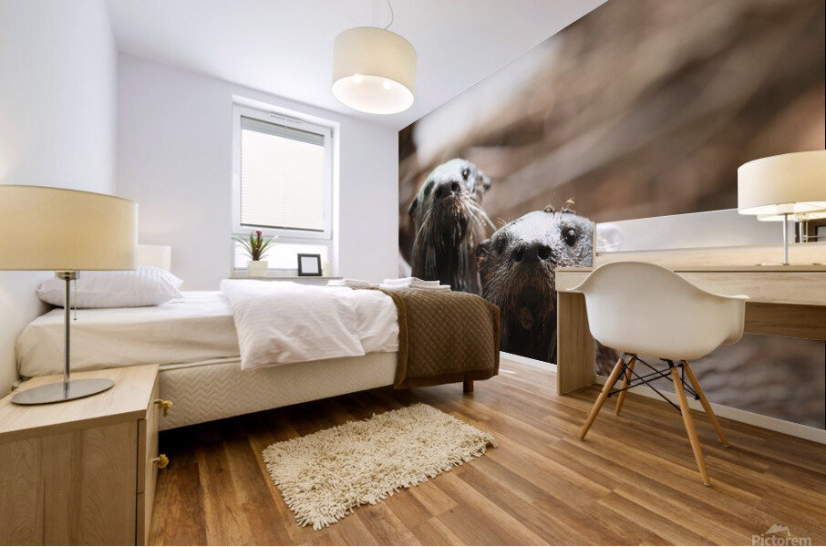 otters Mural print