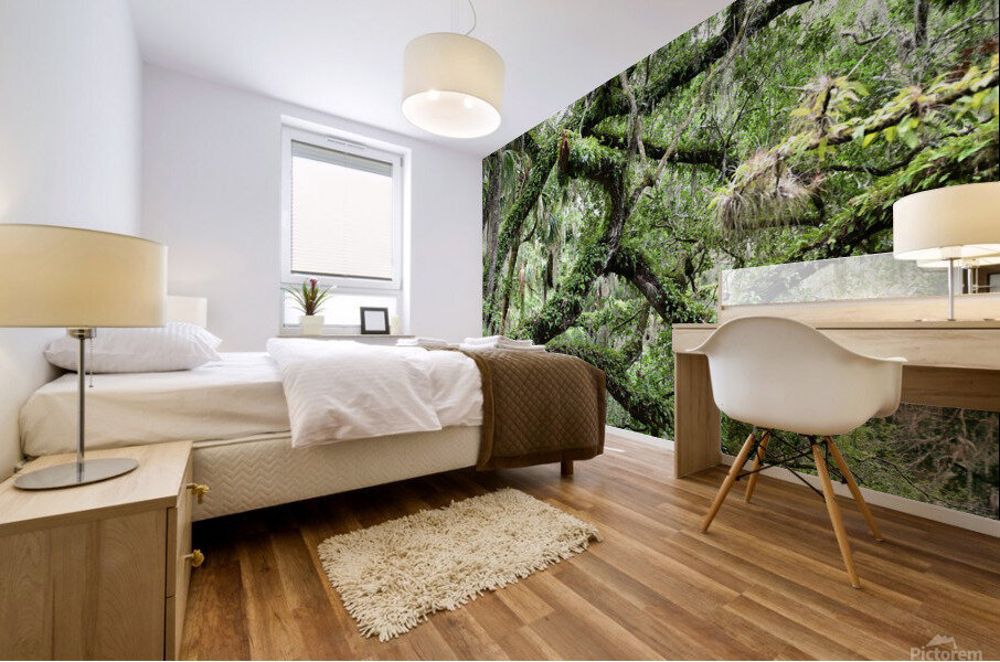 Live Oak Mural print