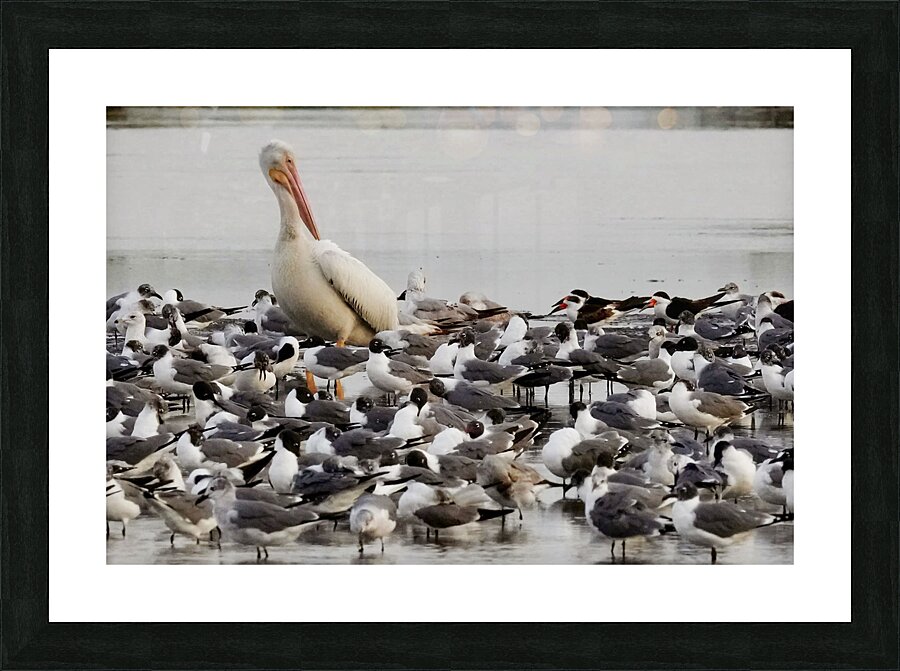Standing Out Picture Frame print
